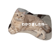 842939359