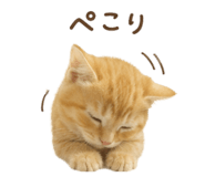 842939444