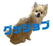 842939626