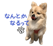 842939629