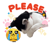 842939654