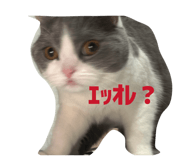 842940026