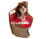 842940030