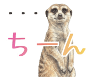 842941370