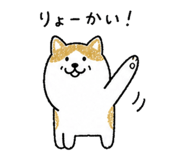 842941498