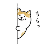 842941503
