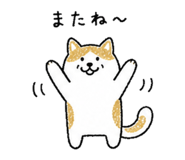 842941511