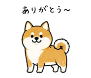 842941892