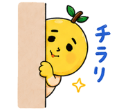 842942238