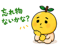 842942246