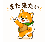 842942432