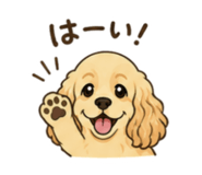 842942530