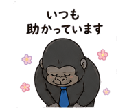 842943686