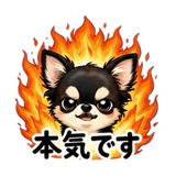 842944304