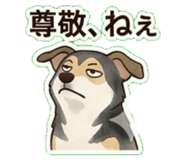 842944357