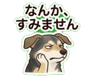 842944372