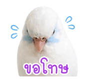 842945220