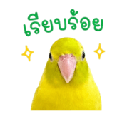 842945226