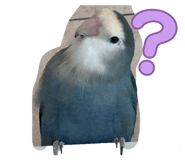 842946582