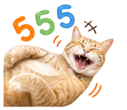 842946858