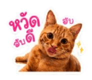842946969