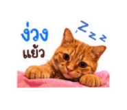 842946973