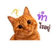 842946978