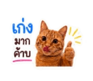 842946979