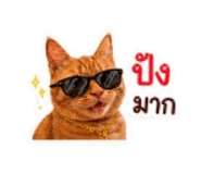 842946983