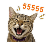 842946988