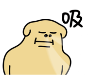 842947041