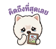 842947381