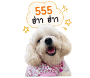 842947494