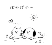 842947707