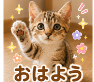 842947729