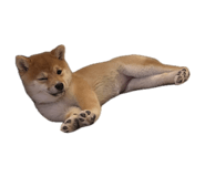 842947874