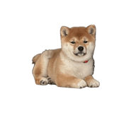 842947876