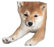 842947878