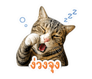 842948103