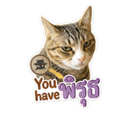 842948111