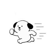 842948491