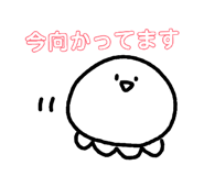 842948593