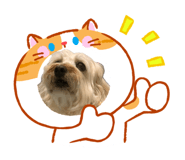 842948939