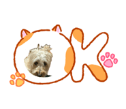842948943