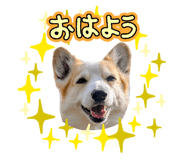 842948986