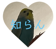 842949007