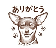 842949034
