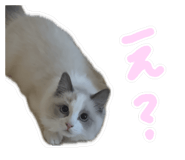 842949092