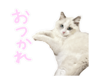 842949094