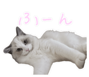 842949109